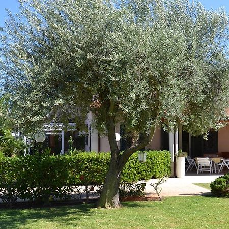 Villa Paola Фонтане-Бьянке Экстерьер фото